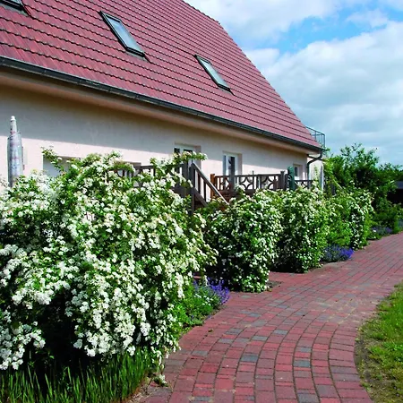 Apartment In Am Mueritzsee *