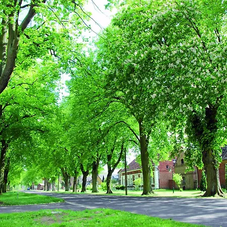 Apartment In Am Mueritzsee *