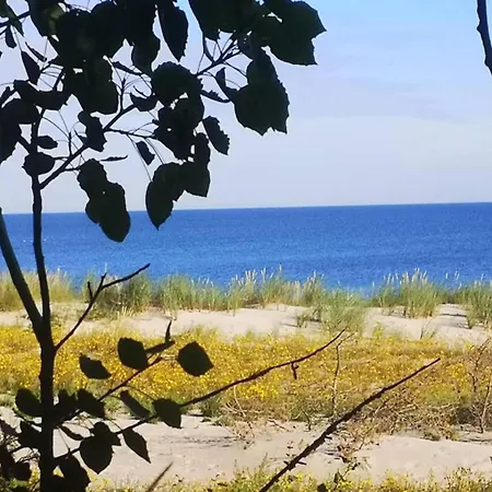 In Am Mueritzsee Buchholz (Mecklenburg-Vorpommern)